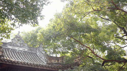 成都私密酒馆排名前十(杭州私密酒馆)插图38 成都私密酒馆排名前十(杭州私密酒馆)插图38