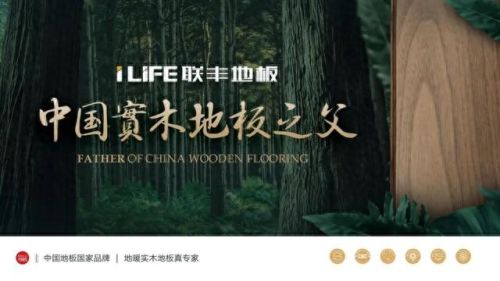 安心地板十大名牌排行榜(安心地板价格表大全)