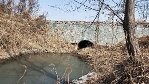 西安遛狗公司排名前十(西安遛狗事件最新消息)插图13 西安遛狗公司排名前十(西安遛狗事件最新消息)插图13