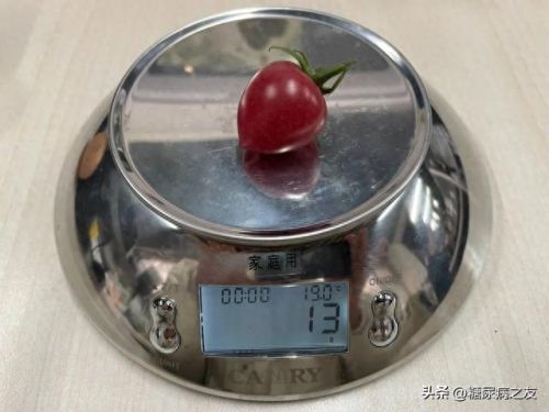 2019十大无糖食品排行榜图片(无糖的食品哪种好)