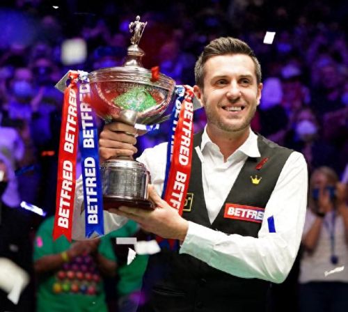 经典桌球牌子排名前十(二线桌球牌子排行)插图 经典桌球牌子排名前十(二线桌球牌子排行)插图