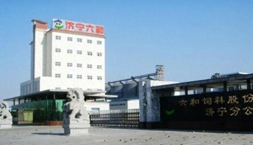 邹城平台公司排名前十(邹城家政公司排名)插图25 邹城平台公司排名前十(邹城家政公司排名)插图25