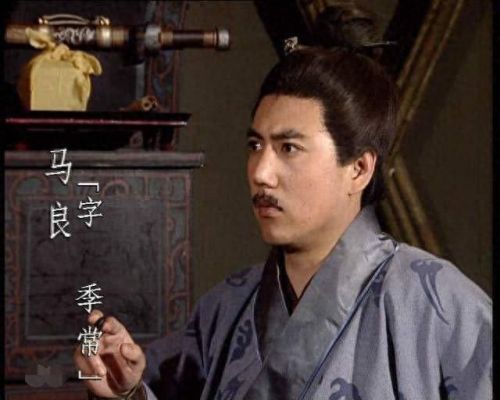 三国十大谋士猛将排行榜(三国七大谋士排行榜)插图4