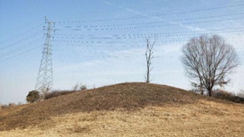 西安遛狗公司排名前十(西安遛狗事件最新消息)插图5 西安遛狗公司排名前十(西安遛狗事件最新消息)插图5