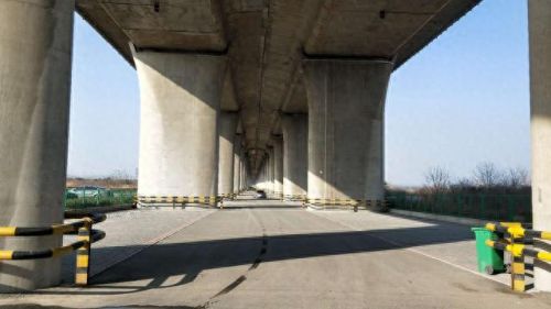 西安遛狗公司排名前十(西安遛狗事件最新消息)插图4 西安遛狗公司排名前十(西安遛狗事件最新消息)插图4