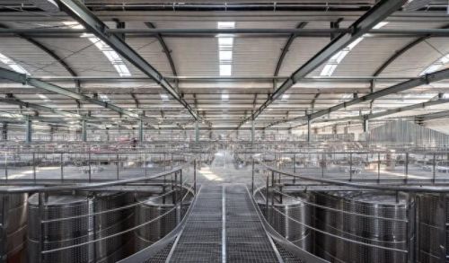 山西肉鸽销量排名前十(大熊养殖肉鸽)插图27 山西肉鸽销量排名前十(大熊养殖肉鸽)插图27