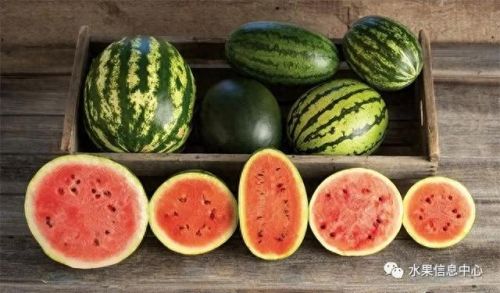 西瓜品种大小十大排行榜(露天西瓜哪个品种好)插图