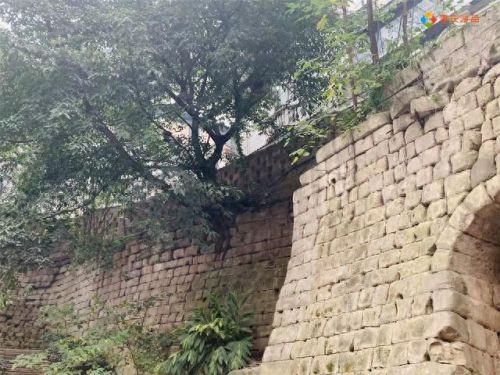 重庆十大城门楼盘排行榜(重庆十大最高端楼盘)插图13 重庆十大城门楼盘排行榜(重庆十大最高端楼盘)插图13