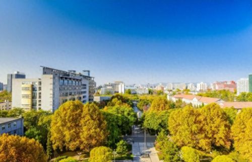 收入最高的十大专业排行榜(工资排名前十的职业)插图9