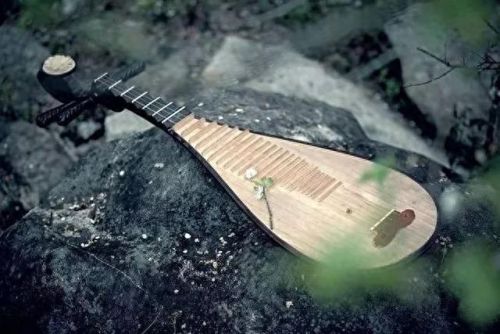 大提琴十大排行榜(世界排名前十大提琴)插图12 大提琴十大排行榜(世界排名前十大提琴)插图12