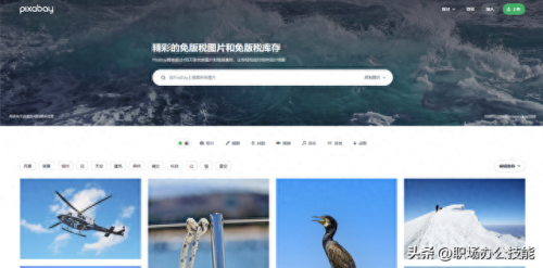 十大免费网站空间排行榜(十大免费论文网站)插图3