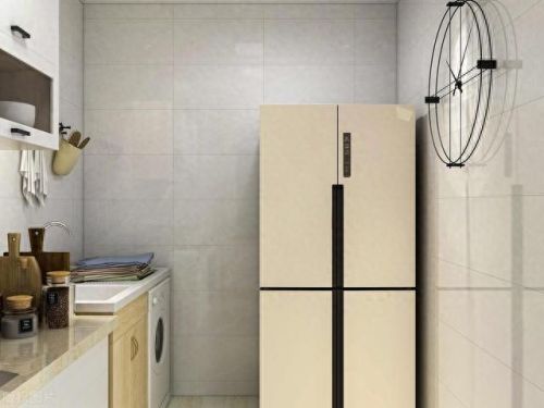 国内十大名牌冰箱排行榜1(十大品种冰箱排名)插图2