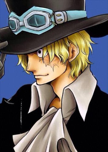 航海王十大高手排行榜图片(航海王四大高手)插图3