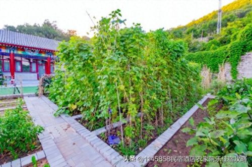 蓟县盘山酒店排名前十(蓟县盘山聚海缘)插图22 蓟县盘山酒店排名前十(蓟县盘山聚海缘)插图22