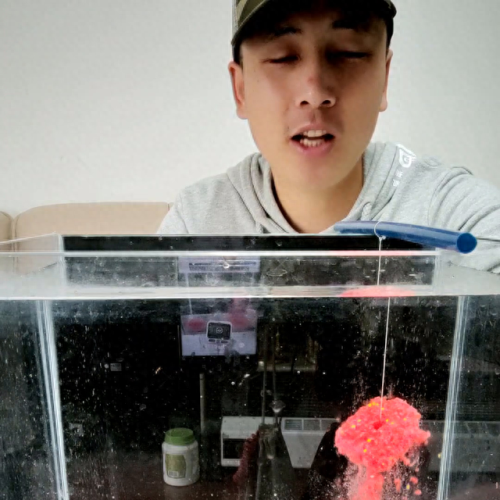 方块窝料十大排行榜(鱼饵最佳配方表)插图