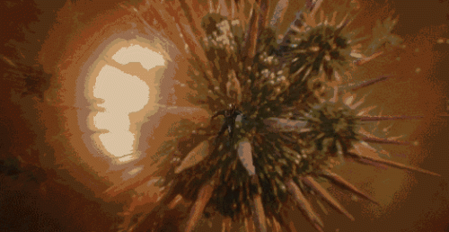 手机显微镜十大品牌排行榜(高端显微镜十大品牌)插图