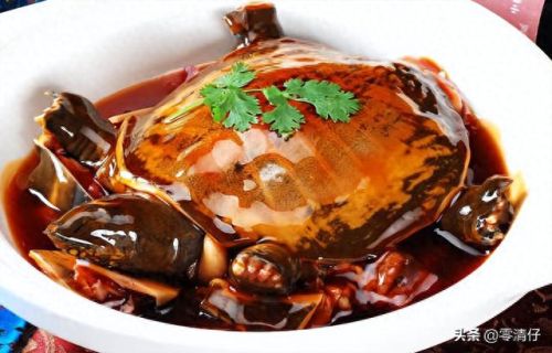 宁波排名前十的菜(宁波超市排名一览表)