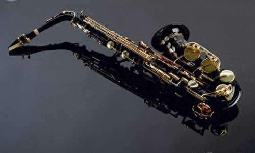 酒吧热门乐器排名前十(弦类乐器难度排名)