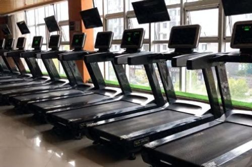 进口健身设备十大排行榜(健身器材国际排行榜)插图9 进口健身设备十大排行榜(健身器材国际排行榜)插图9