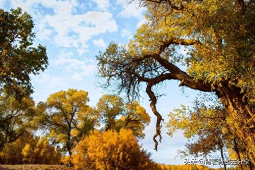 内蒙古十大旅游景区排行榜(内蒙古十大湖排名)插图1