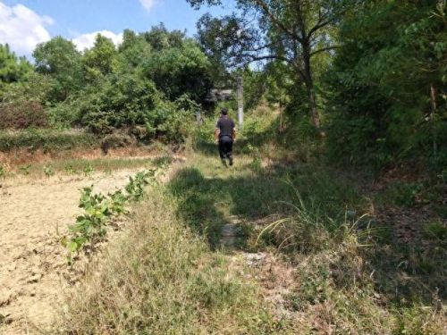 广西十大名牌坊排行榜最新(广西全州四大牌坊)插图1