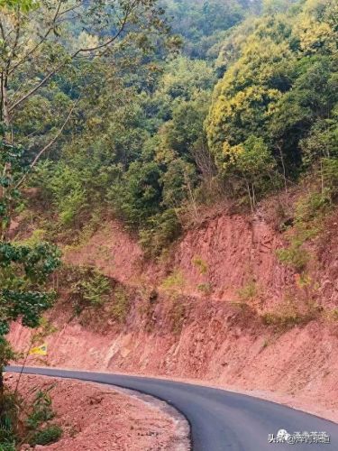 茶经排名前十的茶(十三种满分好茶)插图 茶经排名前十的茶(十三种满分好茶)插图