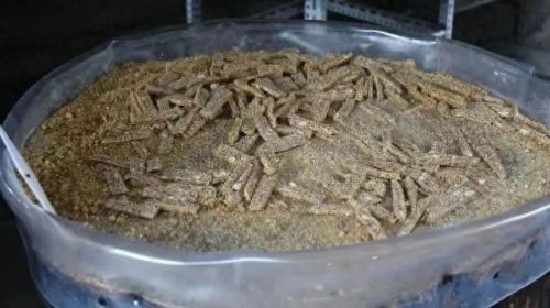 昭化区十大美食排行榜图片(芙蓉街必吃十大美食)插图16 昭化区十大美食排行榜图片(芙蓉街必吃十大美食)插图16