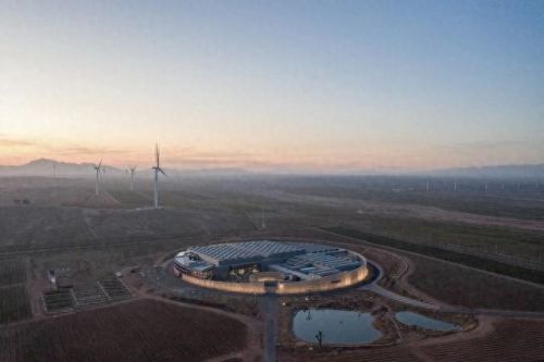 山西肉鸽销量排名前十(大熊养殖肉鸽)插图1 山西肉鸽销量排名前十(大熊养殖肉鸽)插图1