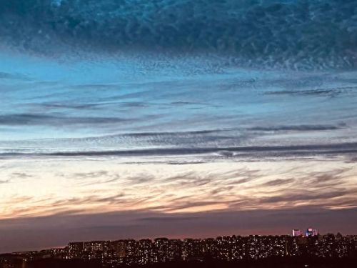 哈尔滨炒菜自助排名前十(哈尔滨自助酱骨排名)