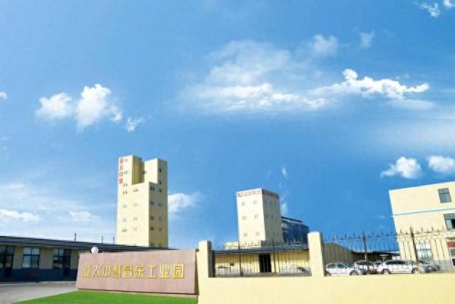 邹城平台公司排名前十(邹城家政公司排名)插图87 邹城平台公司排名前十(邹城家政公司排名)插图87