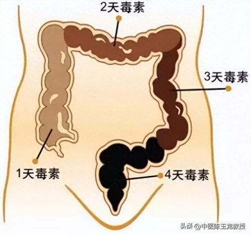 通便药十大排行榜(通便排名第一的药)插图9