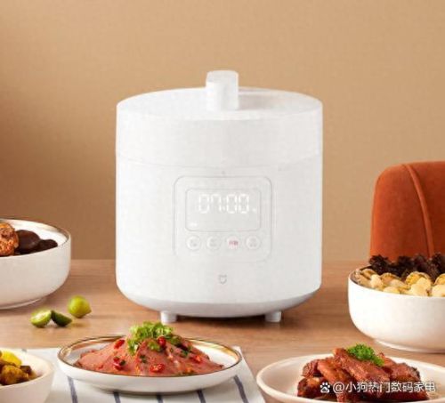 中国电压锅十大品牌排行榜(什么牌子的电压锅煮饭好吃)插图6 中国电压锅十大品牌排行榜(什么牌子的电压锅煮饭好吃)插图6