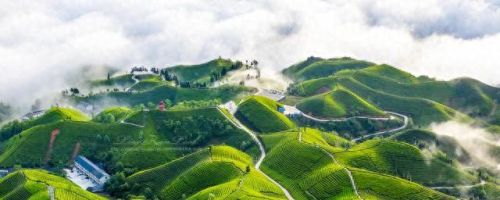 四川十大方言排行榜(四川重庆方言搞笑视频)插图2