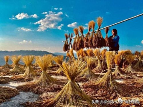 柳州十大摄影师排行榜图片(柳州全家福摄影前十名)插图25
