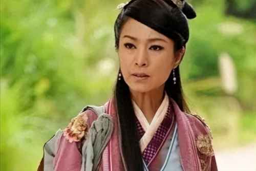 萍踪侠影十大高手排行榜(小说萍踪侠影录免费全文阅读)插图7