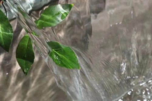 广州石楼名宿排名前十(广州黄埔区民宿)插图29 广州石楼名宿排名前十(广州黄埔区民宿)插图29