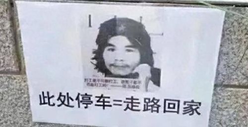 2020年十大网红排行榜(中国网红前50名)插图1