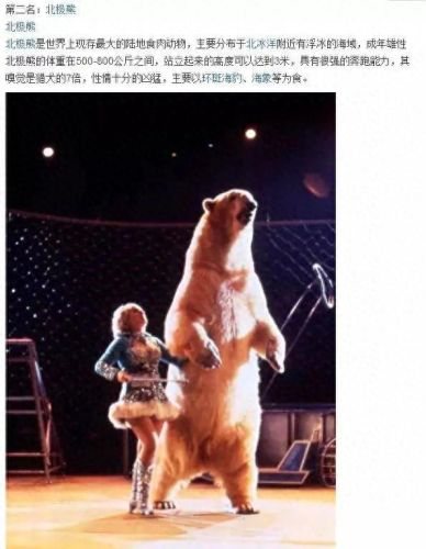 十大巨兽排行榜非洲野狮(以前最厉害的巨狮排行)插图17