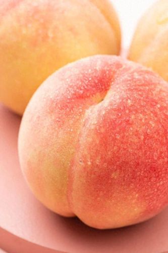 排名前十的优良枇杷(哪种枇杷品种好吃)插图3 排名前十的优良枇杷(哪种枇杷品种好吃)插图3