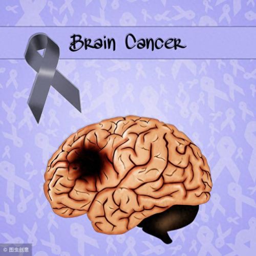 十大癌症排行榜膀胱癌第几(十大治疗癌症的中成药)插图11 十大癌症排行榜膀胱癌第几(十大治疗癌症的中成药)插图11