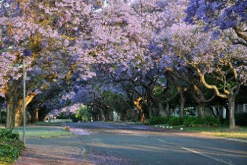 南非电力产能排名前十(南非电力部长动情致谢)插图4