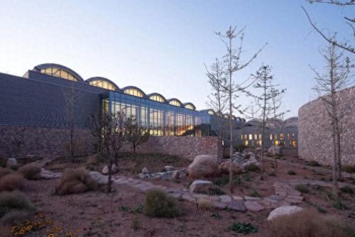 山西肉鸽销量排名前十(大熊养殖肉鸽)插图32 山西肉鸽销量排名前十(大熊养殖肉鸽)插图32