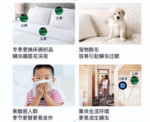 十大热门高端除螨仪排行榜(口碑最好的除螨仪)插图