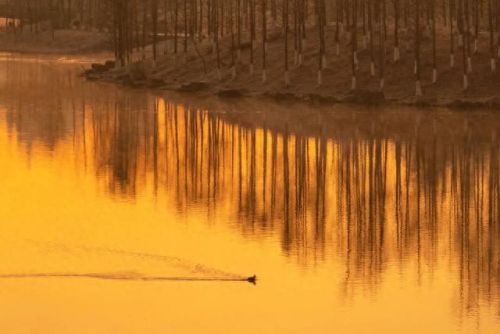 空调贵州销量排名前十(2022空调销量排行榜)插图31