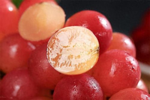 鲜食葡萄品种排名前十(最好吃葡萄排名前十名)插图16