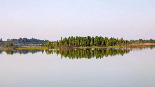 望城烧烤排名前十店(长沙望城的快活街)插图7