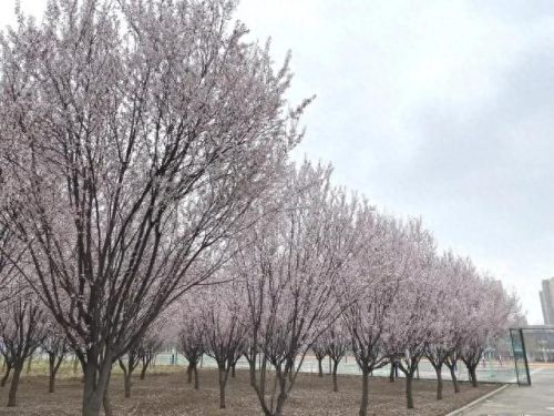 亳州地理老师排名前十(亳州一中安徽排名)插图9 亳州地理老师排名前十(亳州一中安徽排名)插图9