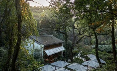 富阳避暑酒店排名前十(富阳著名酒店排行榜)插图21