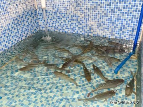 乐昌餐厅美食排名前十(韶关乐昌美食排行榜)插图14 乐昌餐厅美食排名前十(韶关乐昌美食排行榜)插图14