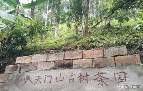 普洱十大名牌价格排行榜(普洱价格最高的品牌)插图5